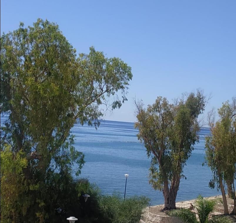 Galatex Μaisonette Lejlighed Limassol Eksteriør billede